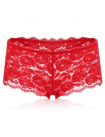 Sexy See Through Lace Embroidered Hollow Low Rise Panties